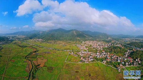 广西玉林兴业大平山镇天气预报