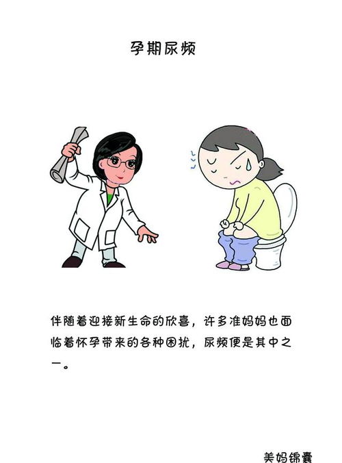 解忧！孕期尿频原因及应对