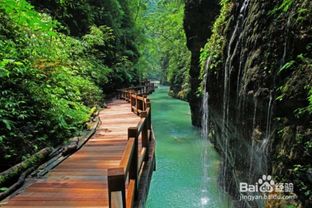 重庆周边夏天有哪些旅游避暑景点 