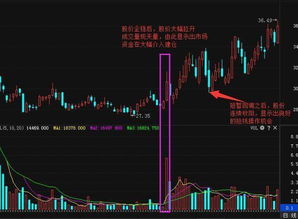 散户能把所有资金都放在一只股票上吗？