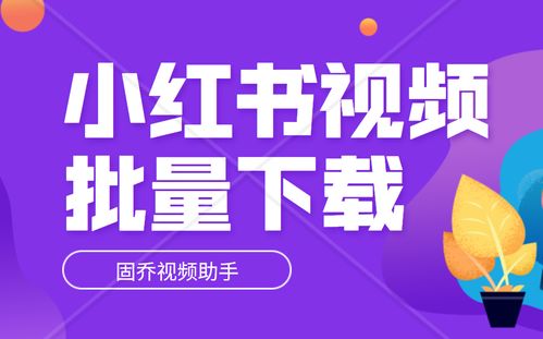 怎么一次性下载小红书上的视频,快速保存全部视频到本地