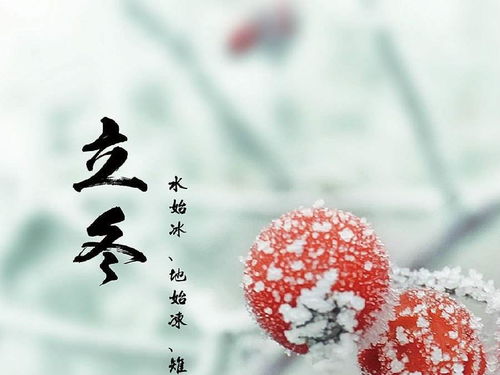 立冬后,财神驾到,贵人登门,3生肖赚取巨大财富