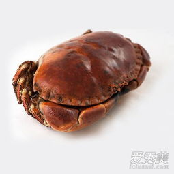 面包蟹 什么叫面包蟹