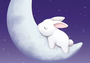 梦见兔子