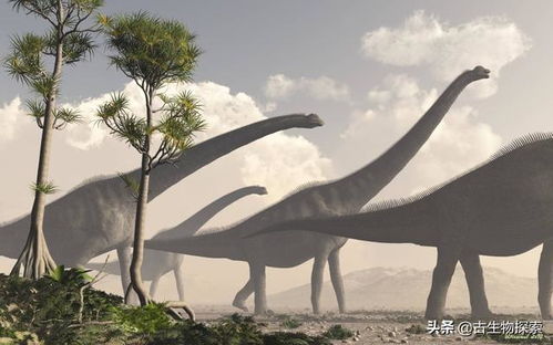 恐龙脖子那么长,到底哪种恐龙的脖子最长