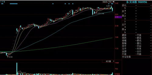 A.B股分别是什么意思