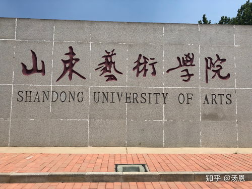 学艺术可以报考什么样的大学