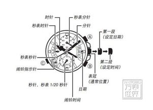 卡西欧指针调整步骤是什么？