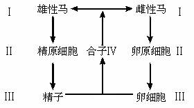 从生物体中提取出的酶首先要什么？ 答案说要检验活性，请问活性指的是什么？？是说酶是死是活 还能不能