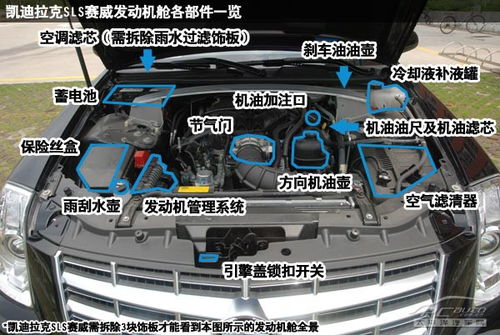 请问高手,汽车前仓那么多液体罐怎么区分 我是新手 