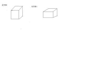 长方体怎么做 正方体怎么做 