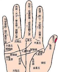 怎么看手相感情线你的感情是否容易被第三者介(看手相那个是感情线)