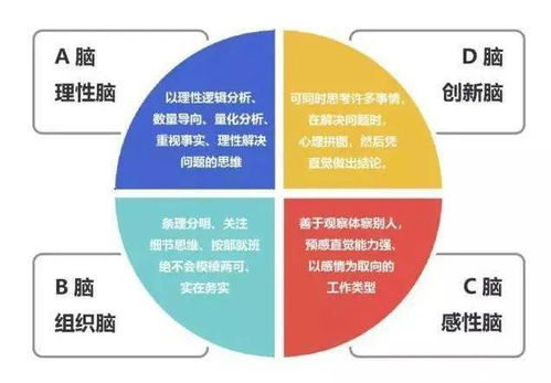 大脑类型如何决定你的格局 测你被埋没的天赋是什么