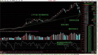 如何买入股票（已经开户了）