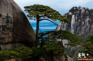 黄山几月份去最好 冬天黄山旅游要带什么 