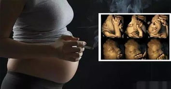 怀孕抽烟对胎儿的危害,用4D照告诉你真相 
