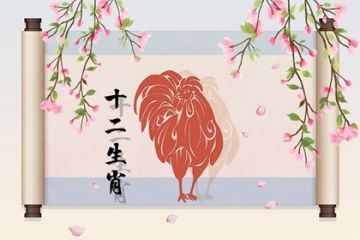 鸡 八字网 