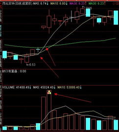 通达信的这些指标如何编写