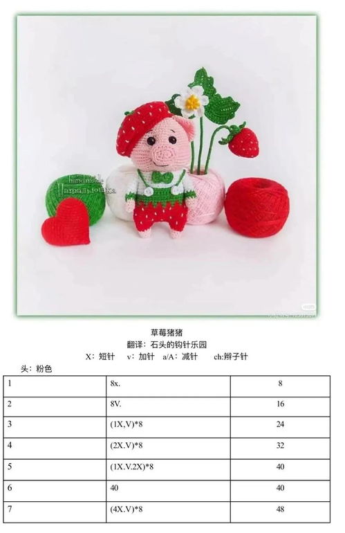 草莓猪猪教程