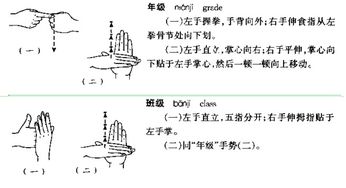 8年3班我爱你用手语怎么做 