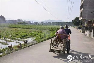 仙游这对夫妇,诠释了最好的爱情 八旬老汉坚持手拉车送老伴看病 