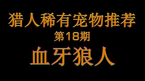 魔兽世界怀旧服 如此好看的白狮子,却让猎人取舍两难,为什么呢