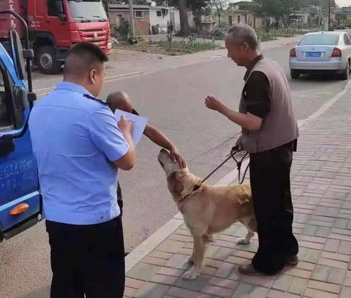 古冶警方规范居民养犬显成效