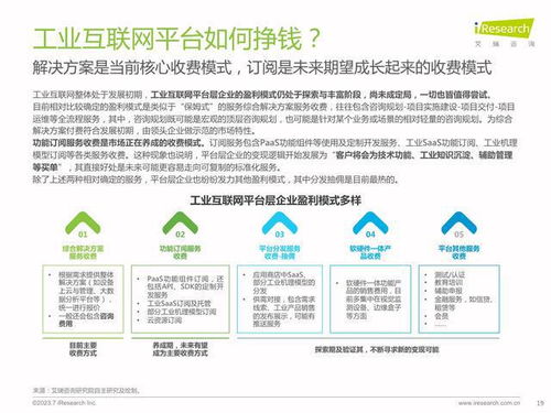 中国工业互联网平台研究报告 野蛮生长