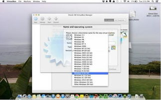 win10和mac双系统安装