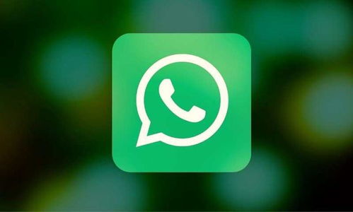 WhatsApp从明天起将停止在这些手机上运行 请查看列表