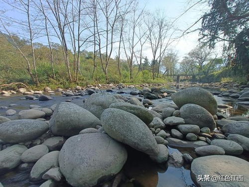 长水源河流的石头