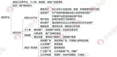 国产在线拍揄自揄拍解析,助你了解主流平台与使用技巧