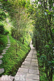 森林步道秘密花园桃李河畔景观餐厅