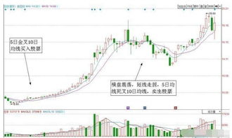 谁能帮我分析一下5日均线从哪看得出来？谢了…