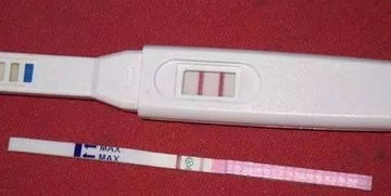 怀孕多少天试纸可以测出 怀孕多少天可以用试纸测出来