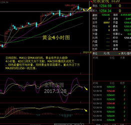 金银暂维持强势震荡