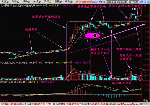 年终喜讯,最牛老鸭头选股神器免费赠送,参与 抄底金牛过肥年