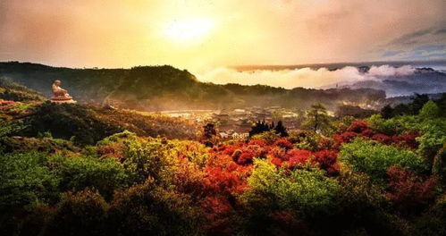 特价 畅游奉化雪窦山景区 挑战浙江最长悬空栈道 鉴赏徐凫岩高空瀑布