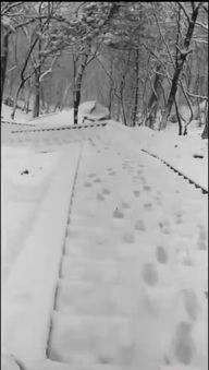 去时雪满天山路