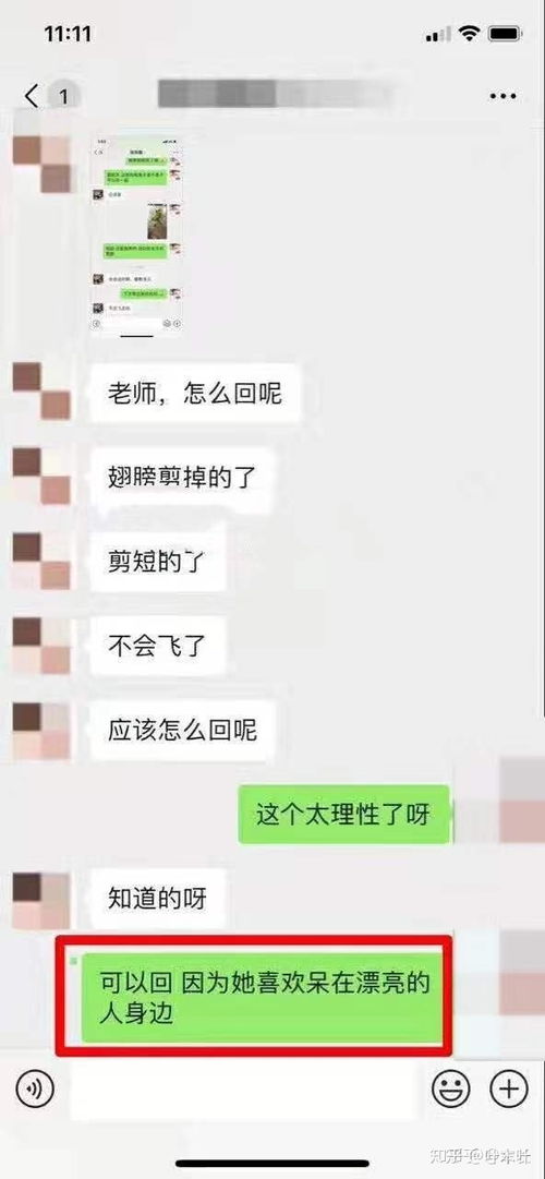 有什么很皮的微信聊天套路 