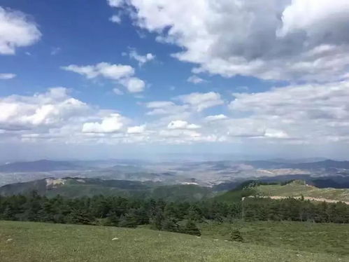 谁说山西都是大山黄土,我们也有草原