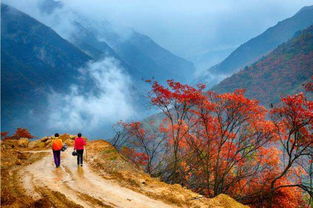 欧美山麓介绍山坡上的欧美介绍(绝地求生用钩子爬山的游戏)