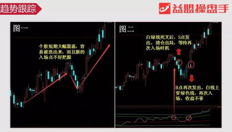 怎么才能学会分析哪只股票是优质股，哪只股票会涨啊