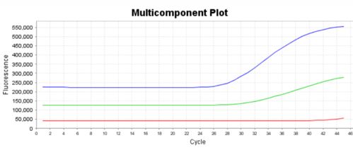 PCR异常扩增曲线分析攻略