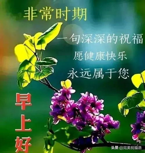 励志祝福八字语句  祝贺高升的祝福语8字？