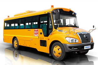 湖北拟于2017年起禁止非专用校车接送小学生及幼儿 