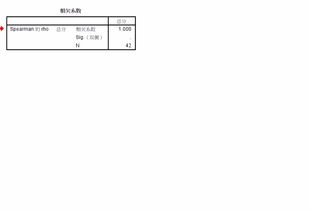 SPSS输出结果，相关系数为1