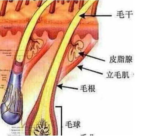 没有 神颜 底子但可靠它逆袭 又忙又懒也可美,只需轻松一小步,不用化妆也能自带 纯欲 妆感