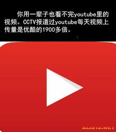 喝红牛可提高智力 你不知道但应该知道的冷知识