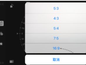 能把苹果6s的拍照设置成满屏的吗 